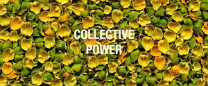The Power of The Collective