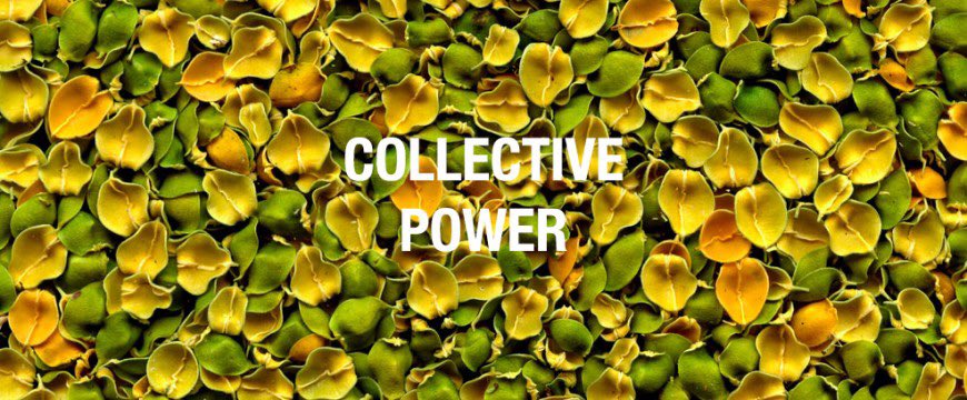 The Power of The Collective